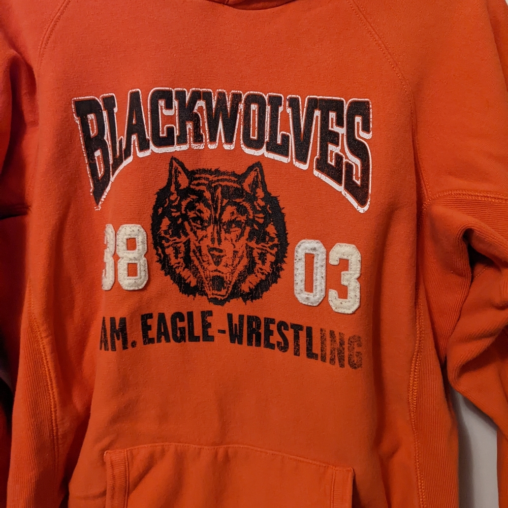 American Eagle Hoodie. Size Med - Picture 2 of 6